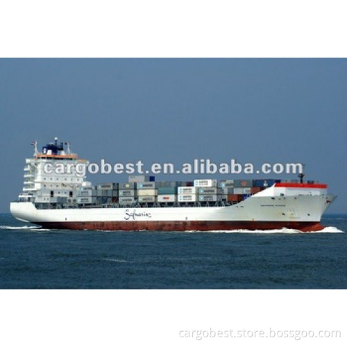 ocean shipping agency freight from shenzhen to port elizabeth South Africa -DIANA
